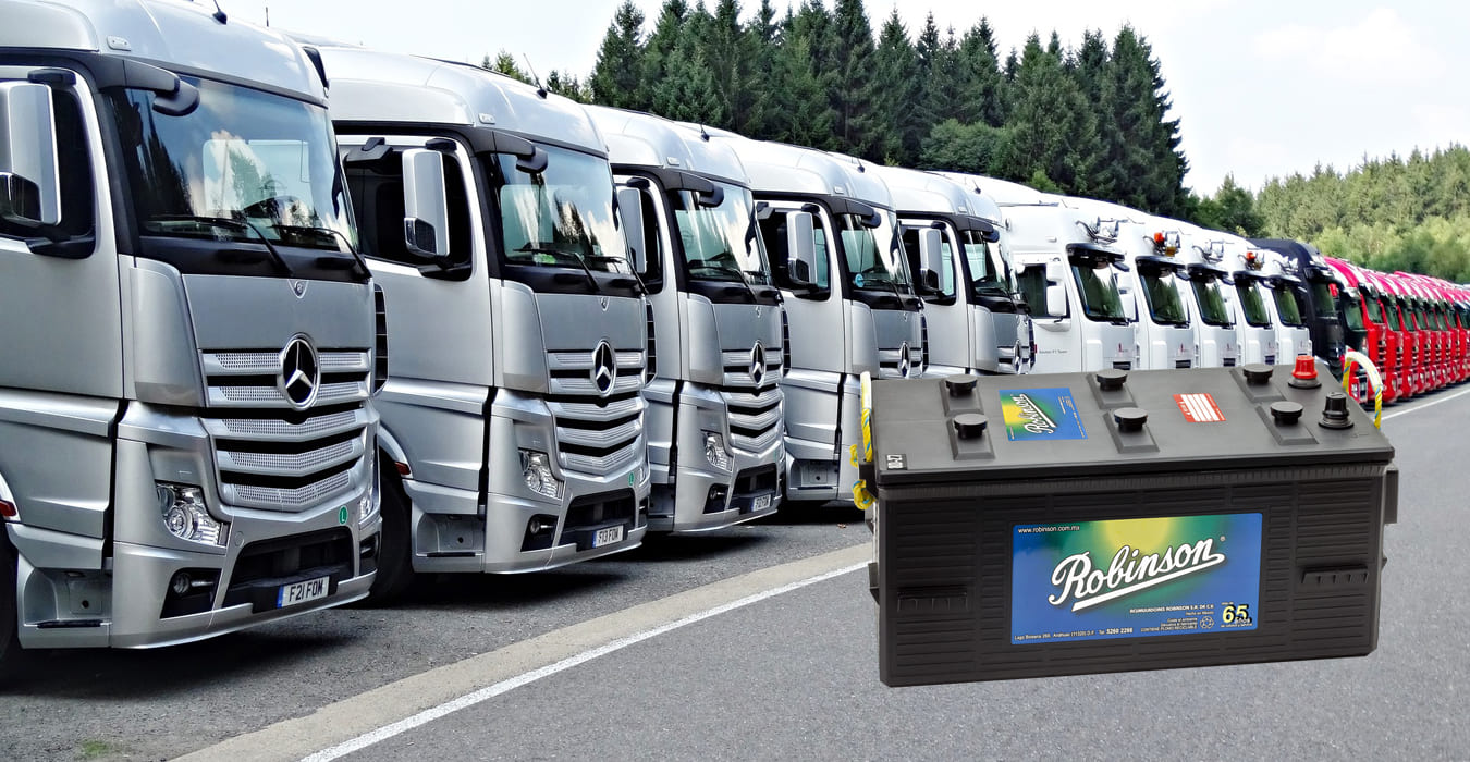 Robinson - Maximice su Inversión